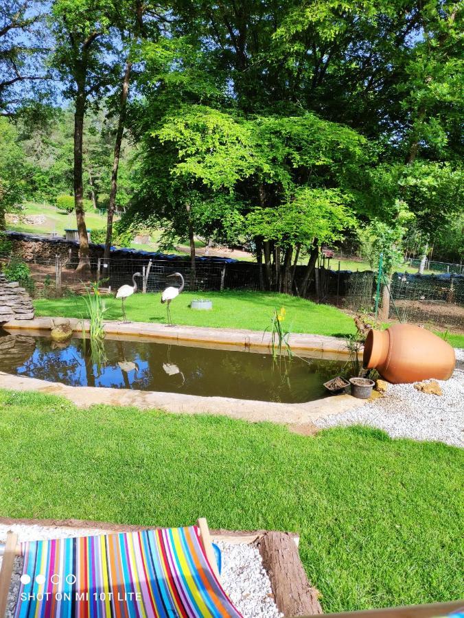 Chez Pascaline Bed & Breakfast Sarliac-sur-l'Isle Ngoại thất bức ảnh